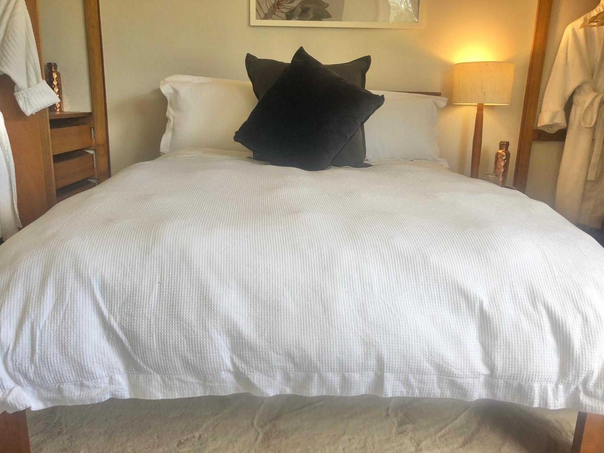 Lovely Budget Vegan Homestay Λόντσεστον Εξωτερικό φωτογραφία