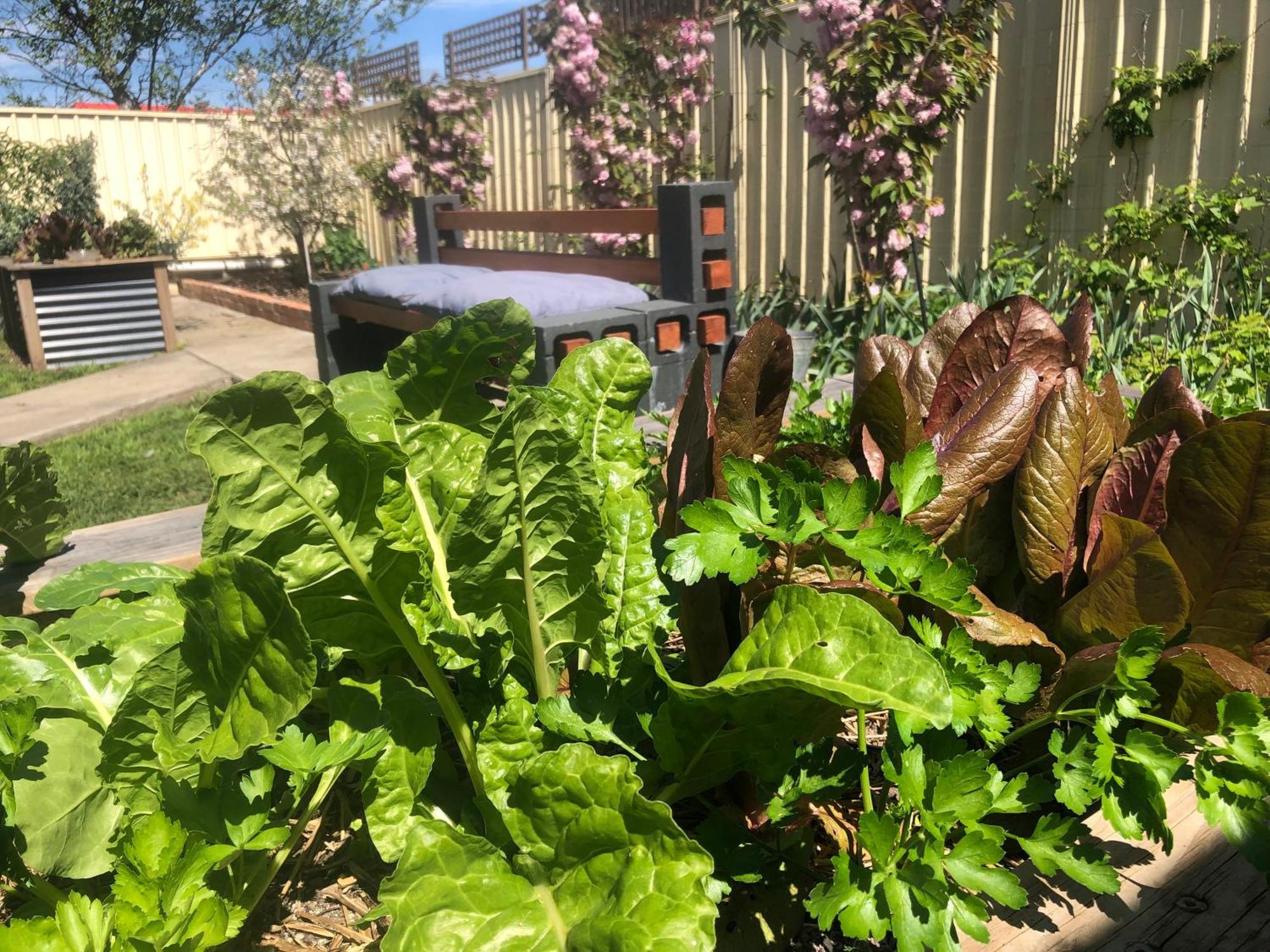 Lovely Budget Vegan Homestay Λόντσεστον Εξωτερικό φωτογραφία