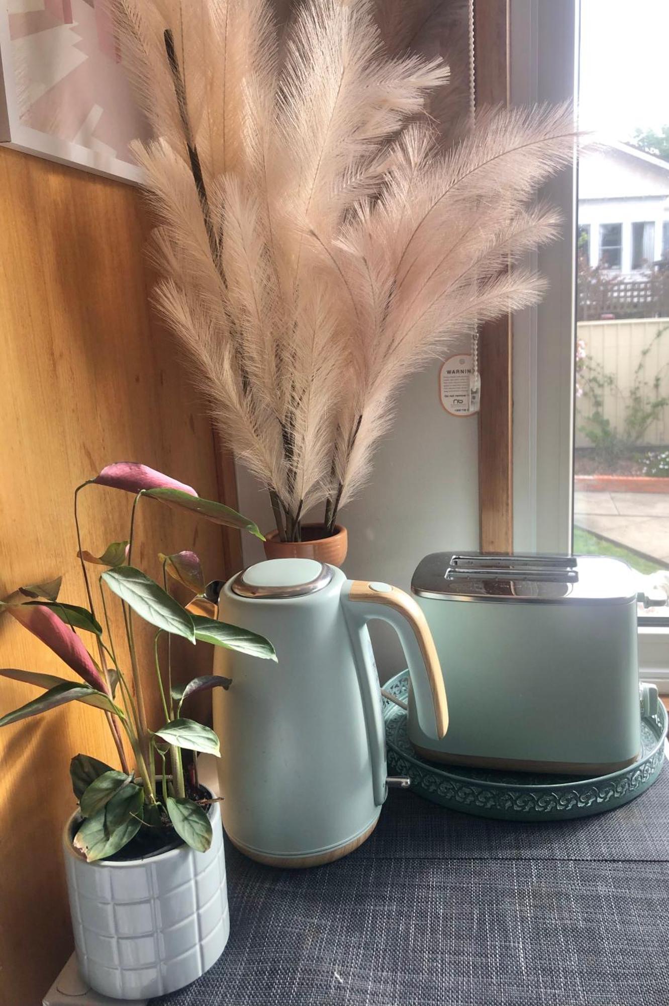 Lovely Budget Vegan Homestay Λόντσεστον Εξωτερικό φωτογραφία